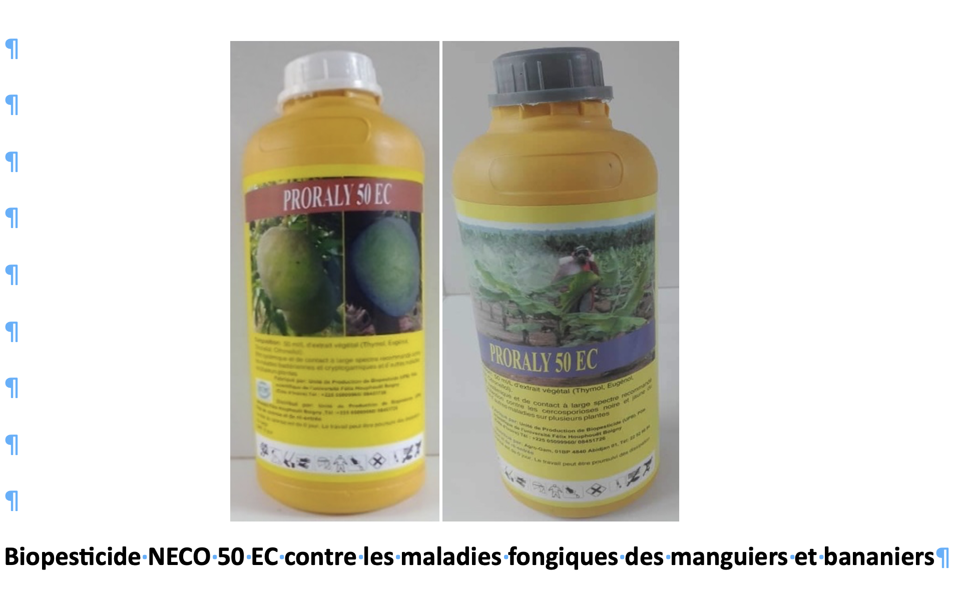 Biopesticide Proraly 50 EC : Solution naturelle pour la protection des cultures homologué contre les maladies fongiques des manguiers et bananiers et la bio-désinfection